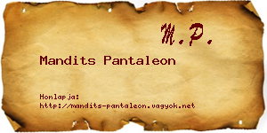 Mandits Pantaleon névjegykártya